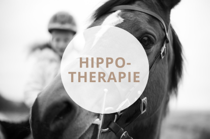 Hippotherapie in Steyr, Daniela Krenn